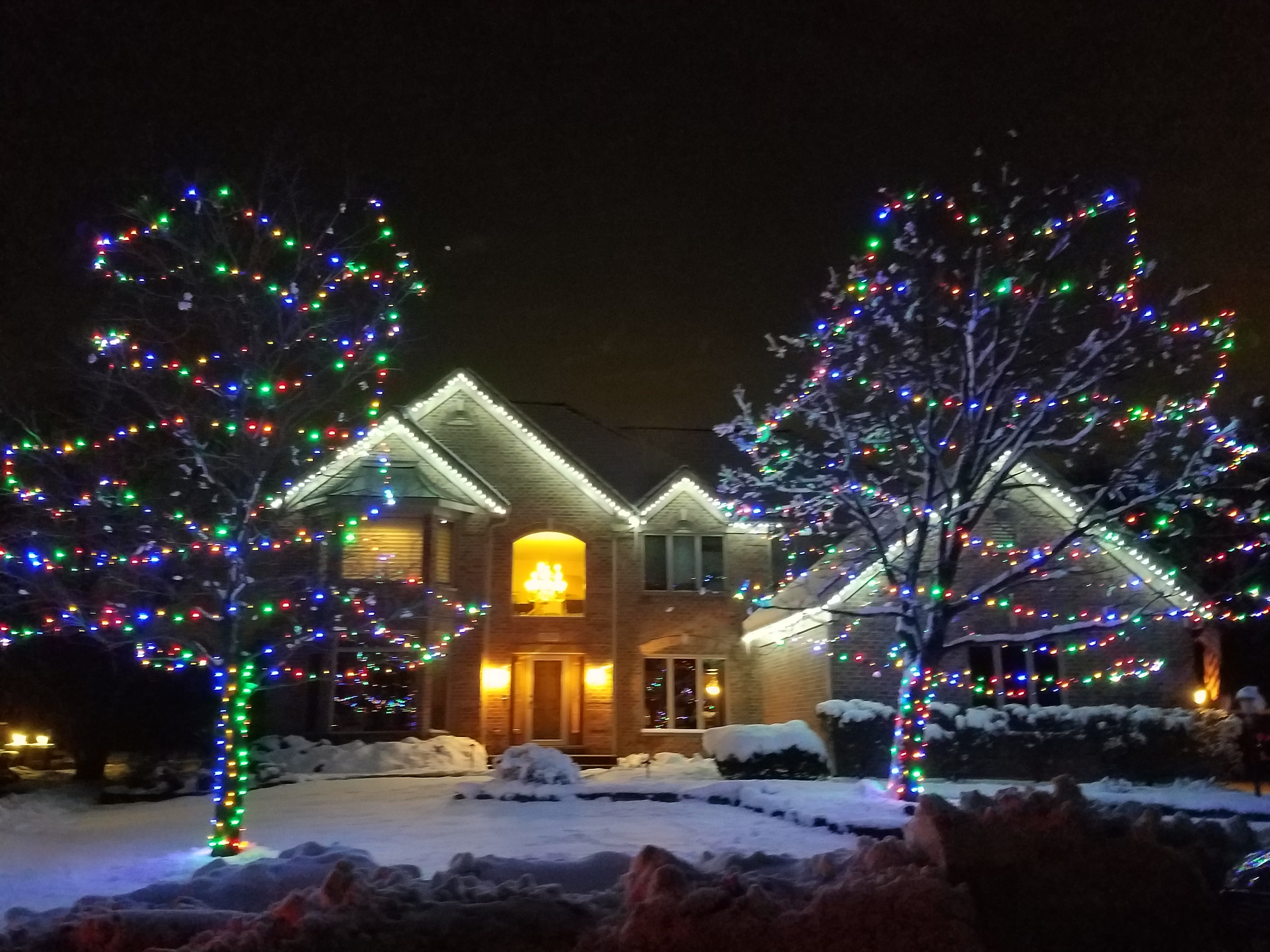 Snowy home with multicolor wrapped trees and roofline lights